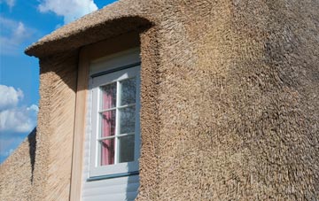 Devol thatch roof disadvantages